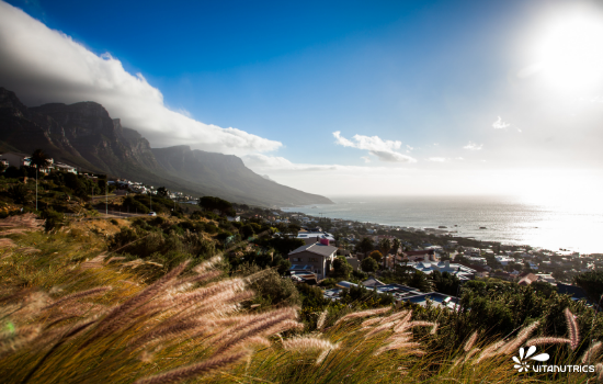 faune et flore afrique du sud