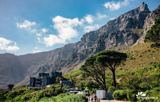 faune et flore afrique du sud